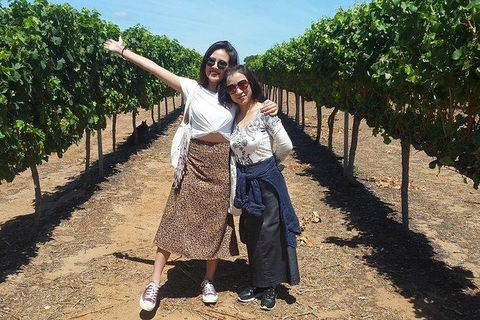 VIP Swan Valley Wine Tour - Premium Small Group Wine & Gourmet Experience - New South Wales Tourism  3