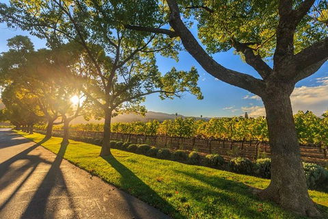 VIP Swan Valley Wine Tour - Premium Small Group Wine & Gourmet Experience - New South Wales Tourism  5