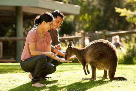 Very Best Of Perth Tour - Wildlife Park & City Highlights Tour - New South Wales Tourism  0