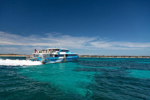 Rottnest Island Skydive Including Round Trip Ferry From Fremantle - New South Wales Tourism  7