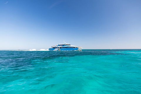 Rottnest Island Skydive Including Round Trip Ferry From Fremantle - New South Wales Tourism  8