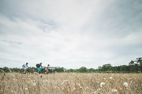 Electric Bike Winery And Brewery Tour - New South Wales Tourism  0