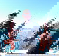 Rottnest Island Wild Seafood Package with Round Trip Ferry from Fremantle - New South Wales Tourism 