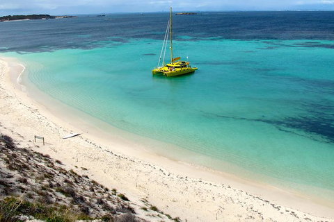 Full Day Sail To Rottnest Island From Fremantle - New South Wales Tourism  1