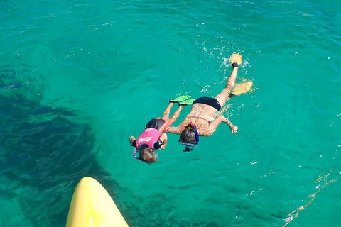 Full Day Sail To Rottnest Island From Fremantle - New South Wales Tourism  3