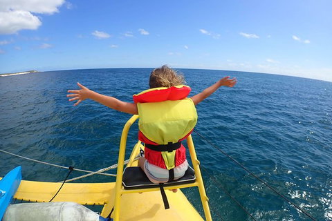 Full Day Sail To Rottnest Island From Fremantle - New South Wales Tourism  8