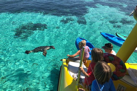 Full Day Sail To Rottnest Island From Fremantle - New South Wales Tourism  5