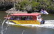 Albany Wildlife And Scenic Cruise - thumb 3