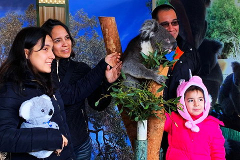 Caversham Wildlife Park, Old Guildford Town & Swan Valley Tour - New South Wales Tourism  1