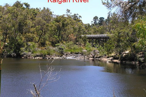 Kalgan Queen Scenic Cruises A Four Hour Sheltered Water Wildlife Tour Daily Fun. - New South Wales Tourism  3