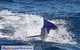 Montebello Island Fishing Charters - thumb 6