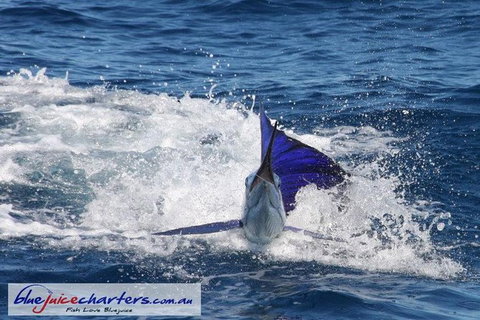 Montebello Island Fishing Charters - New South Wales Tourism  6