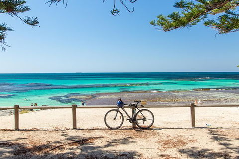 Rottnest Bike & Ferry Package From Perth - New South Wales Tourism  0