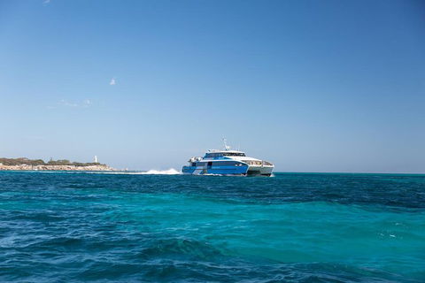 Rottnest Bike & Ferry Package From Perth - New South Wales Tourism  1