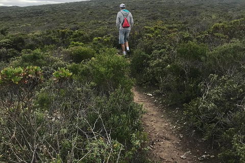 Cape To Cape Track Hike And Winery Tour - New South Wales Tourism  1