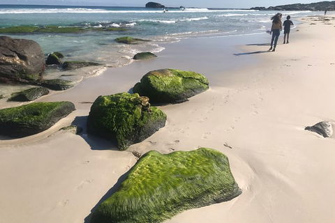 Cape To Cape Track Hike And Winery Tour - New South Wales Tourism  7