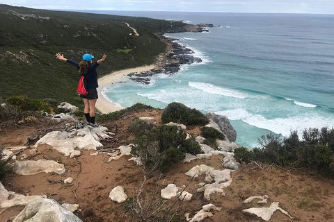 Cape To Cape Track Hike And Winery Tour - New South Wales Tourism  6