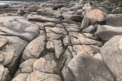 Cape To Cape Track Hike And Winery Tour - New South Wales Tourism  8