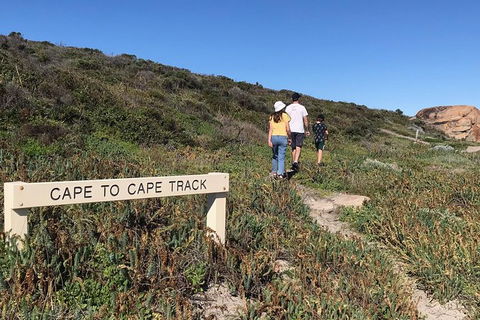 Cape To Cape Track Hike And Winery Tour - New South Wales Tourism  4