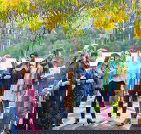 Half Day Gourmet Wine Tour - New South Wales Tourism 