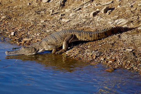 Lake Argyle Best Of Lake Argyle Cruise Departing Lake Argyle - New South Wales Tourism  8