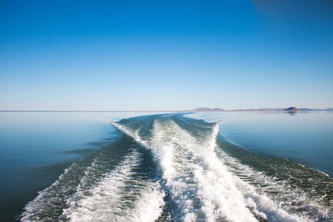 Lake Argyle Best Of Lake Argyle Cruise Departing Lake Argyle - New South Wales Tourism  5