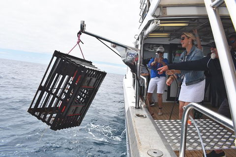 Rottnest Island Wild Seafood Package From Perth With Transfer - New South Wales Tourism  0