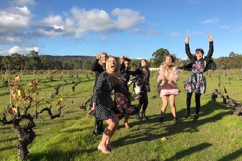 VW Kombi Food, Wine And More Tour (bring The Kids!) - New South Wales Tourism  3