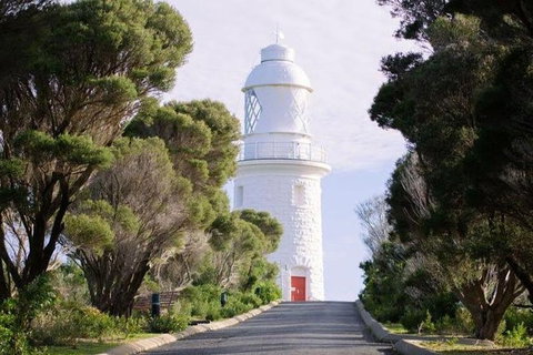 South Of The River Wine Tour In Margaret River - New South Wales Tourism  0