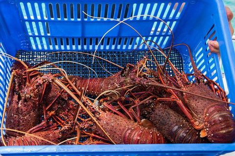 Rottnest Island 5-Course Deluxe Seafood Banquet Cruise - New South Wales Tourism  3