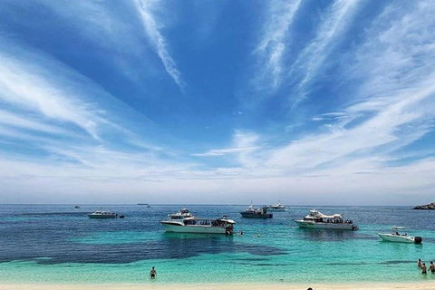 Rottnest Island 5-Course Deluxe Seafood Banquet Cruise - New South Wales Tourism  7