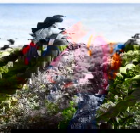 Guided Walks on the Cape to Cape - Redgate Beach to Boranup Forest - New South Wales Tourism 