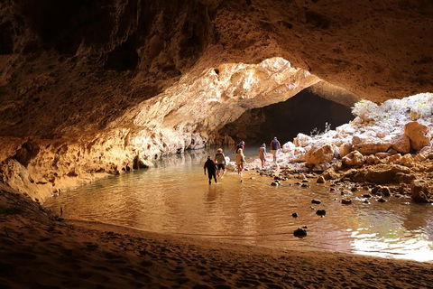 Devonian Reef Explorer - New South Wales Tourism  1