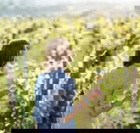 5 Hours Wineries Coffee Tasting Forest  Lunch at the Berry Farm - New South Wales Tourism 