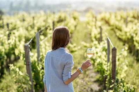 5 Hours Wineries, Coffee Tasting, Forest & Lunch At The Berry Farm - New South Wales Tourism  0