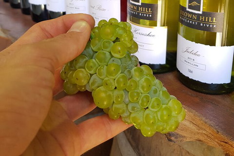 5 Hours Wineries, Coffee Tasting, Forest & Lunch At The Berry Farm - New South Wales Tourism  12