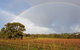 5 Hours Wineries, Coffee Tasting, Forest & Lunch At The Berry Farm - thumb 20