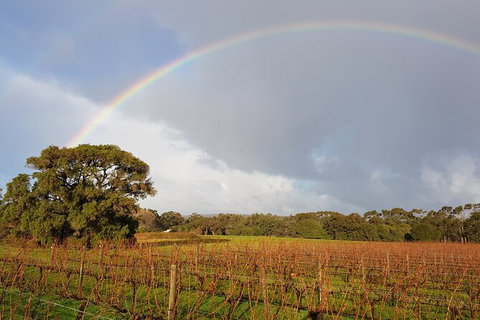 5 Hours Wineries, Coffee Tasting, Forest & Lunch At The Berry Farm - New South Wales Tourism  20