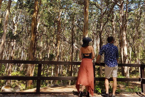 5 Hours Wineries, Coffee Tasting, Forest & Lunch At The Berry Farm - New South Wales Tourism  11