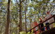 5 Hours Wineries, Coffee Tasting, Forest & Lunch At The Berry Farm - thumb 4