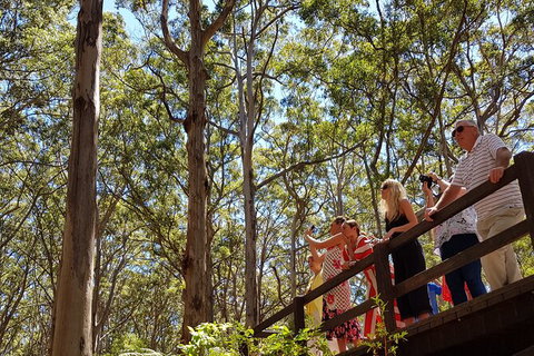 5 Hours Wineries, Coffee Tasting, Forest & Lunch At The Berry Farm - New South Wales Tourism  4