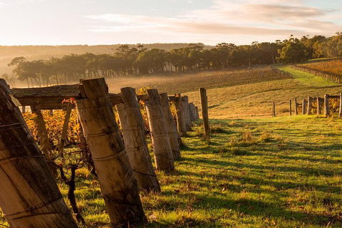 5 Hours Wineries, Coffee Tasting, Forest & Lunch At The Berry Farm - New South Wales Tourism  19