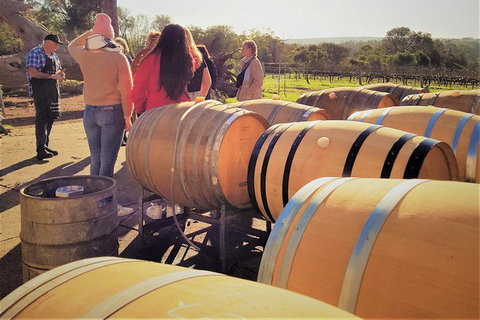 5 Hours Wineries, Coffee Tasting, Forest & Lunch At The Berry Farm - New South Wales Tourism  2