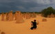 The Pinnacles, Sea And Dunescapes, Bush Reserve And Sunset Day Tour - thumb 5