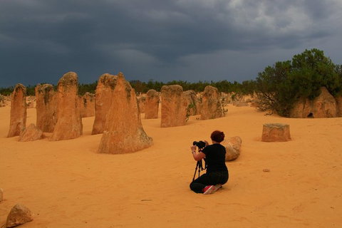 The Pinnacles, Sea And Dunescapes, Bush Reserve And Sunset Day Tour - New South Wales Tourism  5