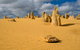 The Pinnacles, Sea And Dunescapes, Bush Reserve And Sunset Day Tour - thumb 2