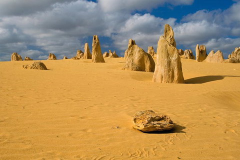 The Pinnacles, Sea And Dunescapes, Bush Reserve And Sunset Day Tour - New South Wales Tourism  2