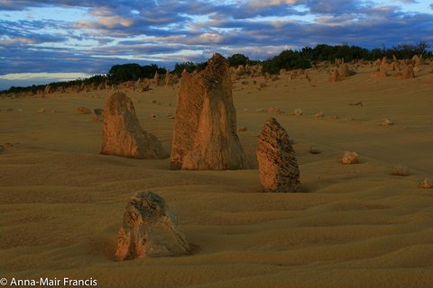 The Pinnacles, Sea And Dunescapes, Bush Reserve And Sunset Day Tour - New South Wales Tourism  7