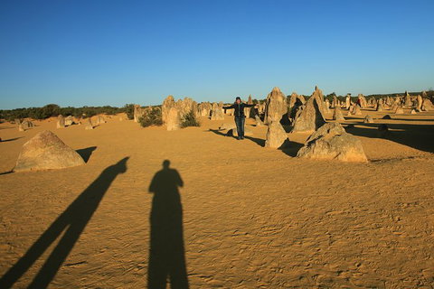 The Pinnacles, Sea And Dunescapes, Bush Reserve And Sunset Day Tour - New South Wales Tourism  4