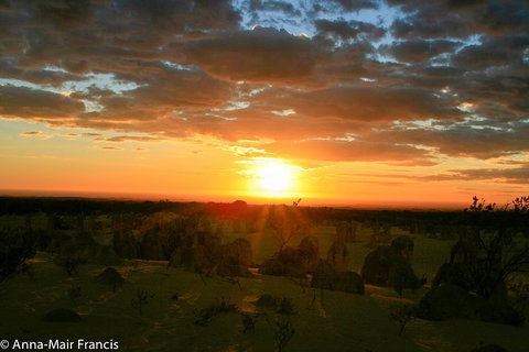 The Pinnacles, Sea And Dunescapes, Bush Reserve And Sunset Day Tour - New South Wales Tourism  6